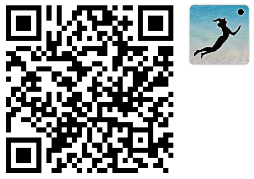 QR + icon